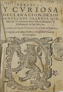 Miniatura